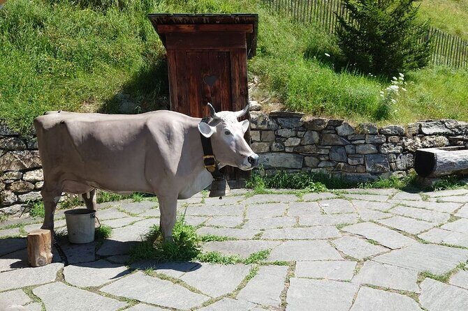 Private Trip to Heidi World Family Day from Zurich - Who Should Book This Tour?