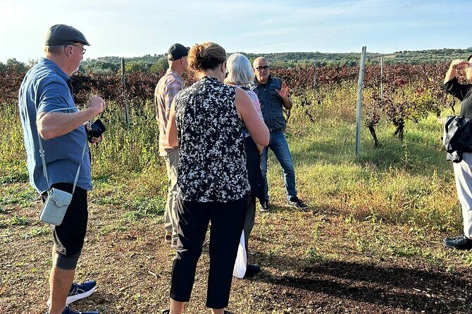 Private Trip to the Vineyards of Ginosa with tasting from Matera - Is It Worth the Cost?