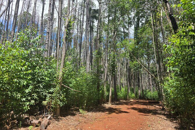 Private Upcountry Hiking Tour - What to Expect: Practical Details