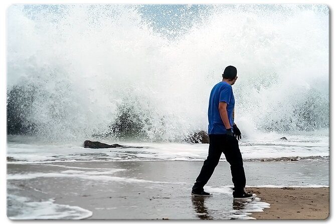 Private Venice Photographic Beach Walking Tour - What’s Included and What’s Not?