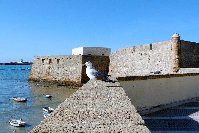 Private Walking Tour of Cadiz: includes Tavira Tower - Frequently Asked Questions