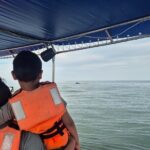 private whale watching at sunset - Included & Not Included