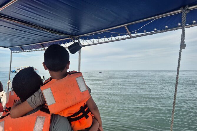 private whale watching at sunset - Included & Not Included