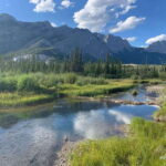 PRIVATE Wilderness and Wildlife Walking Tour - 2.5H - Who Is This Tour Best For?