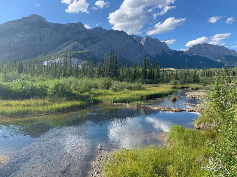 PRIVATE Wilderness and Wildlife Walking Tour - 2.5H - Who Is This Tour Best For?