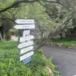 Private Wine and Dine tour from Sedona to Jerome - A Deep Dive into the Experience