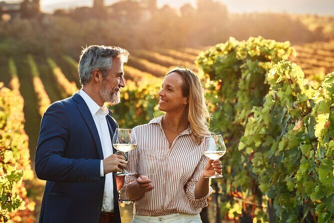 Private Wine and Local Flavors Tour from Palma de Mallorca - The Itinerary in Detail