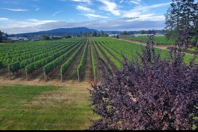 Private Wine Tour at Church and State Wines in Victoria BC Canada - Who Will Love This Tour?