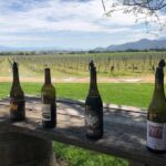 Private Wine Tour from the Santa Ynez Valley - A Closer Look at the Itinerary
