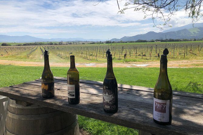 Private Wine Tour from the Santa Ynez Valley - A Closer Look at the Itinerary