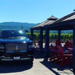 Private Wine Tour Napa or Sonoma 6 hours up to 6 people - The Sum Up