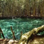 Progreso segway Sightseeing and Beach Break Adventure Excursion - What’s Included and What’s Not?