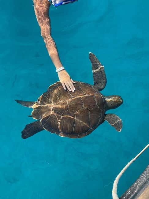 Protaras: Blue Lagoon and Turtles Pirate Cruise - What’s Included and What to Consider