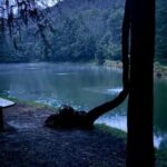 Puebla City Tour & Fireflies Sanctuary from Mexico City - Transportation and Logistics