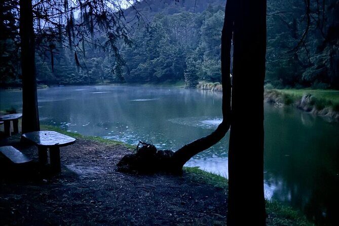 Puebla City Tour & Fireflies Sanctuary from Mexico City - Transportation and Logistics