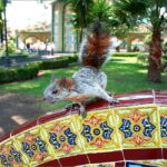 Puebla: Magical Atlixco, Volcano, Unique Garden & Plant Maze - Exploring Puebla’s Surroundings in Style and Comfort