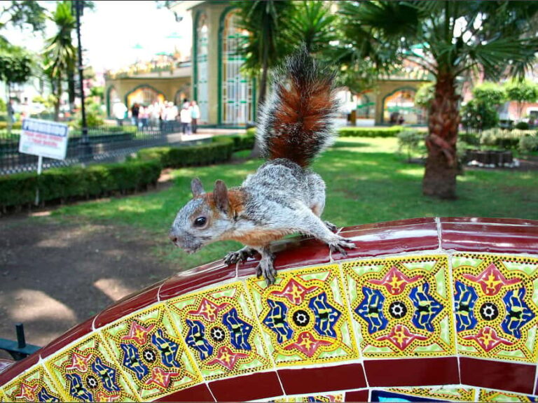 Puebla: Magical Atlixco, Volcano, Unique Garden & Plant Maze - Exploring Puebla’s Surroundings in Style and Comfort