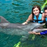 Puerto Aventuras: Dolphin & Manatee Encounter with lunch - Practical Aspects: Timing, Cost, and Comfort
