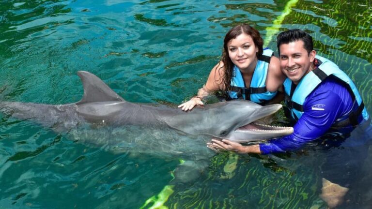 Puerto Aventuras: Dolphin & Manatee Encounter with lunch - Practical Aspects: Timing, Cost, and Comfort