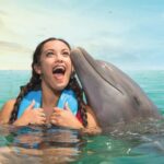 Puerto Aventuras: Dolphins, Manatee & Sea Lion interaction - Practical Details and Tips