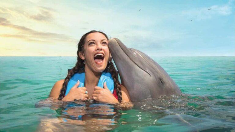 Puerto Aventuras: Dolphins, Manatee & Sea Lion interaction - Practical Details and Tips
