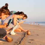 Puerto Escondido: Baby Turtle Release Tour - What to Expect on the Baby Turtle Release Tour