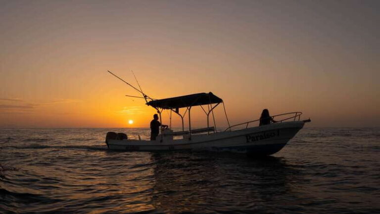 Puerto Escondido: Boat Tour among Dolphins and Turtles - The Itinerary: A Balance of Relaxation and Excitement