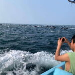 Puerto Escondido: Boat Tour to see Dolphins and Marine Life - Who Will Love This Tour?