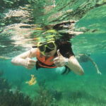 Puerto Morelos: Guided Snorkeling Tour with Gear & Fees - A More In-Depth Look at the Experience
