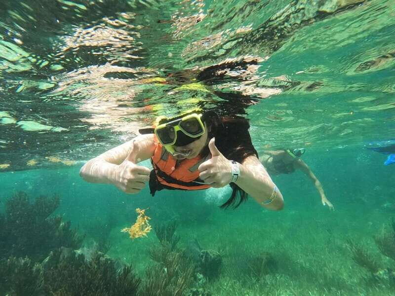 Puerto Morelos: Guided Snorkeling Tour with Gear & Fees - A More In-Depth Look at the Experience