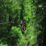 Puerto Morelos: Jungle ATV Adventure, Ziplines and Cenote - Pricing and Value