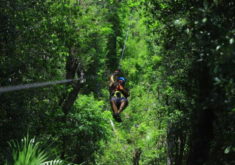 Puerto Morelos: Jungle ATV Adventure, Ziplines and Cenote - Pricing and Value