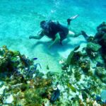 Puerto Morelos: Scuba Experience with Gear & Instructor - Practical Details and Value