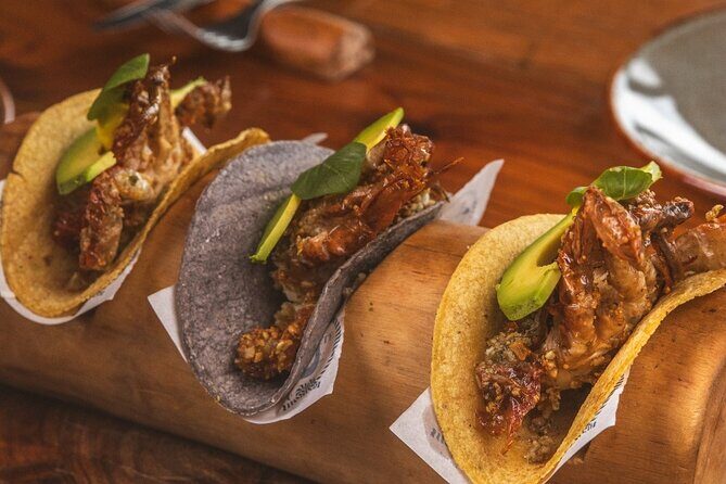 Puerto Morelos Snorkel Nature Tour ! Private from Cancun - Who Will Love This Tour?