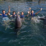 Puerto Morelos: Swim with Dolphins - The Setting and Logistics