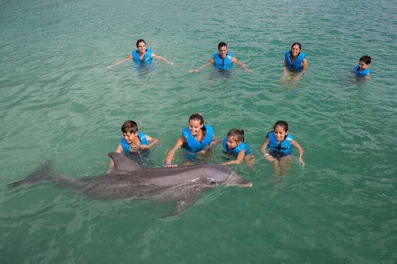 Puerto Morelos: Swim with dolphins Primax - Authentic Reviews and Insights