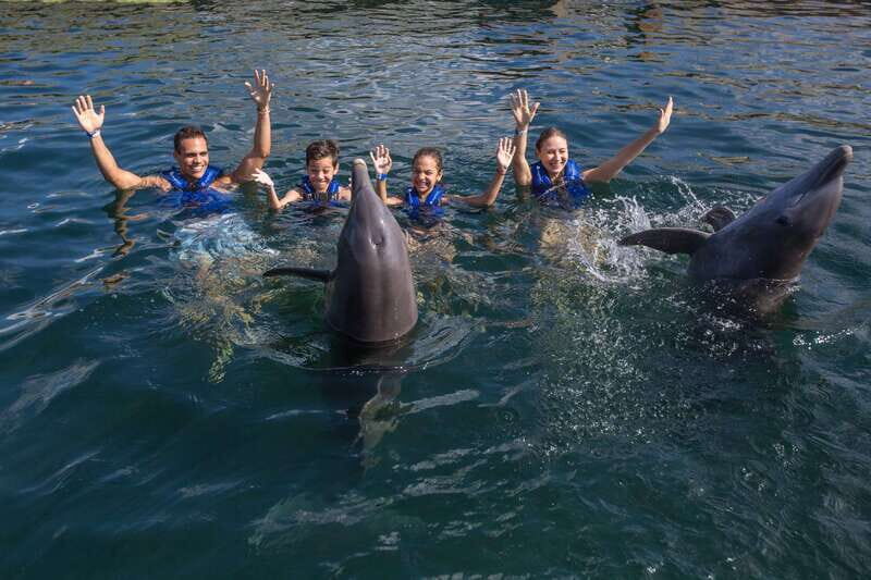 Puerto Morelos: Swim with Dolphins - The Setting and Logistics