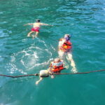 Puerto Vallarta: 3-Hour Whale Watching and Snorkeling - What to Expect from the Tour