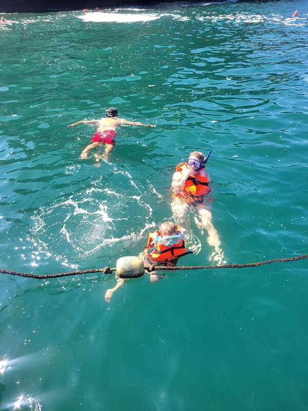 Puerto Vallarta: 3-Hour Whale Watching and Snorkeling - What to Expect from the Tour