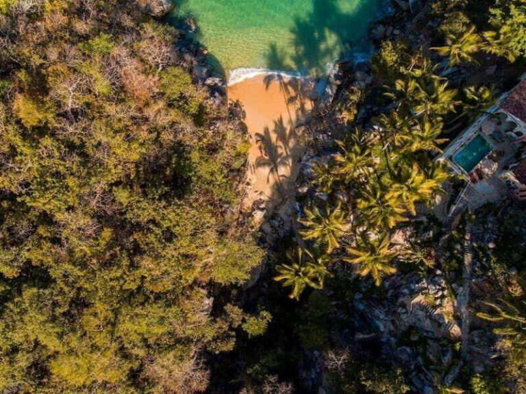 Puerto Vallarta: Catamaran Cruise With Snorkeling and Lunch - Who Should Consider This Tour?