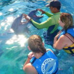 Puerto Vallarta: Dolphin Royal Swim at Aquaventuras Park - Detailed Breakdown of the Itinerary