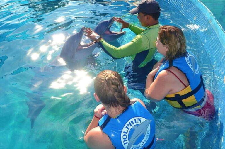 Puerto Vallarta: Dolphin Royal Swim at Aquaventuras Park - Detailed Breakdown of the Itinerary
