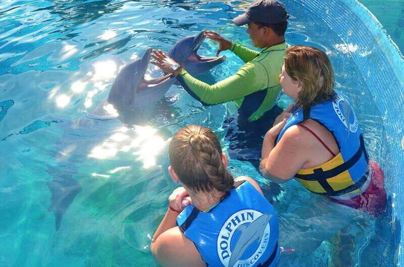 Puerto Vallarta: Dolphin Royal Swim at Aquaventuras Park - Detailed Breakdown of the Itinerary
