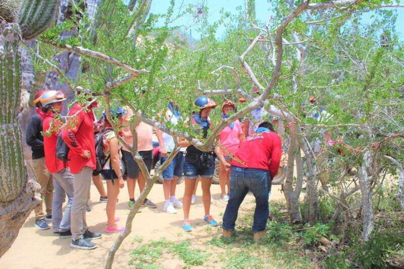 Puerto Vallarta: El Eden Horseback Riding - Who Will Love This Tour?