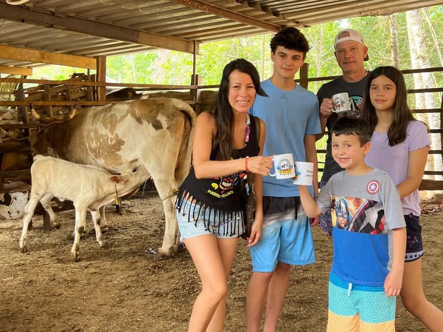Puerto Vallarta: Hands-on Farm Experience from Cow to Cheese - Discovering the Farm: What to Expect