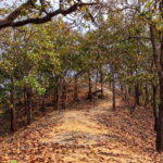 Puerto Vallarta: Jorullo Paradise Hiking Adventure - The Itinerary in Detail