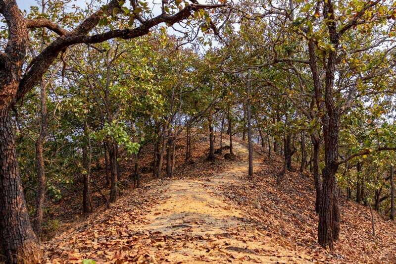 Puerto Vallarta: Jorullo Paradise Hiking Adventure - The Itinerary in Detail