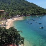 Puerto Vallarta: Private Colomitos & Madagascar Beaches Tour - Who Will Love This Tour?