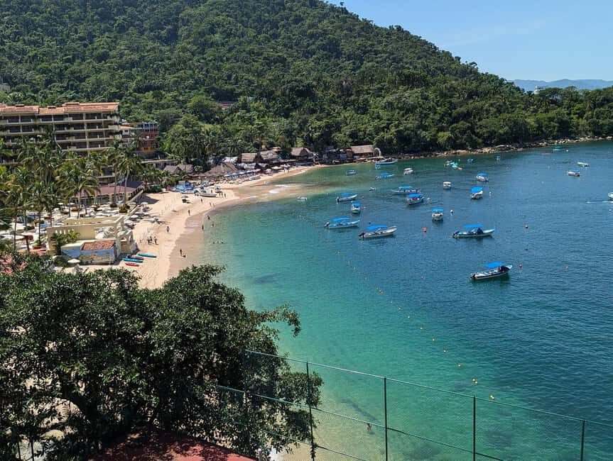 Puerto Vallarta: Private Colomitos & Madagascar Beaches Tour - Who Will Love This Tour?