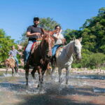 Puerto Vallarta: Tropical Forest Horseback Riding Adventure - The Experience in Context
